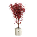 eden aquacare medium 40cm blanco lino